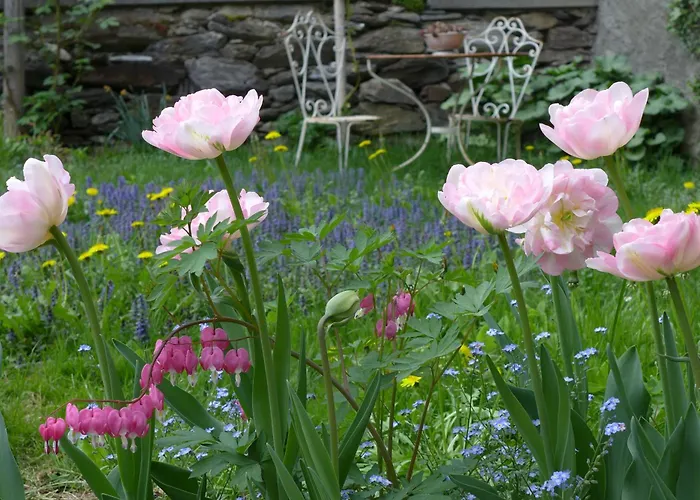 La Scala فندق مبيت وإفطار Trin