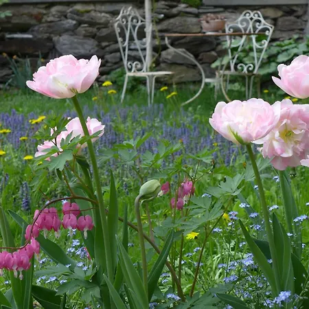 La Scala לינה וארוחת בוקר Trin